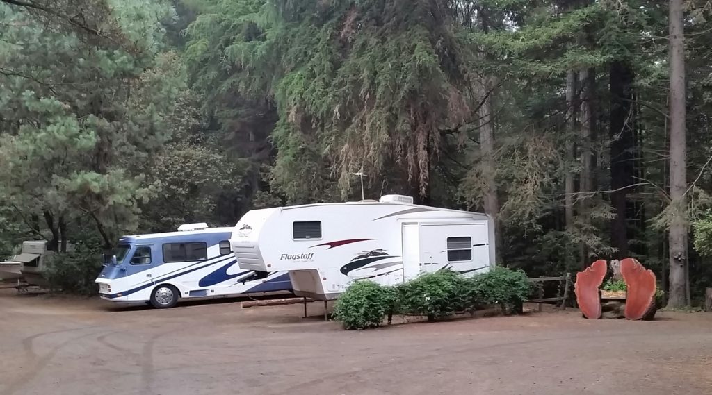 WILDWOOD RVP & CAMPGROUND FORT BRAGG CA - Future Real Estate Enterprises